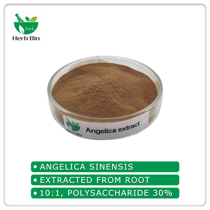 Angelica extract SUPPLIER Xi''an Herb Bio-Tech Co.Ltd