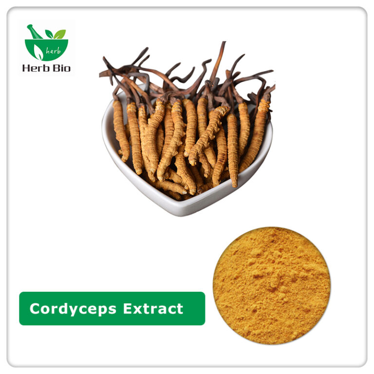 Wholesale best cordyceps powder and extract suppliers - Xi´an Herb Bio