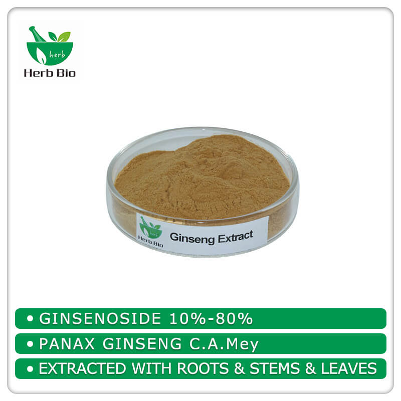 Ginseng Extract wholesale