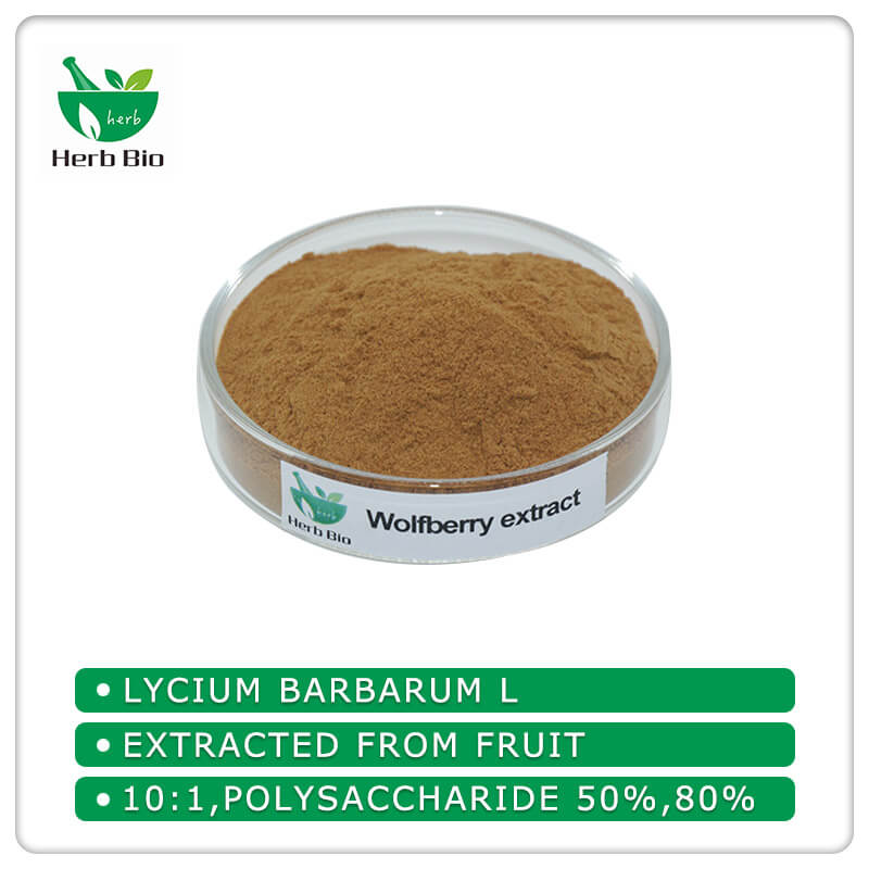 Wolfberry extract supplier Xi'an HERB Bio-Tech Co.Ltd