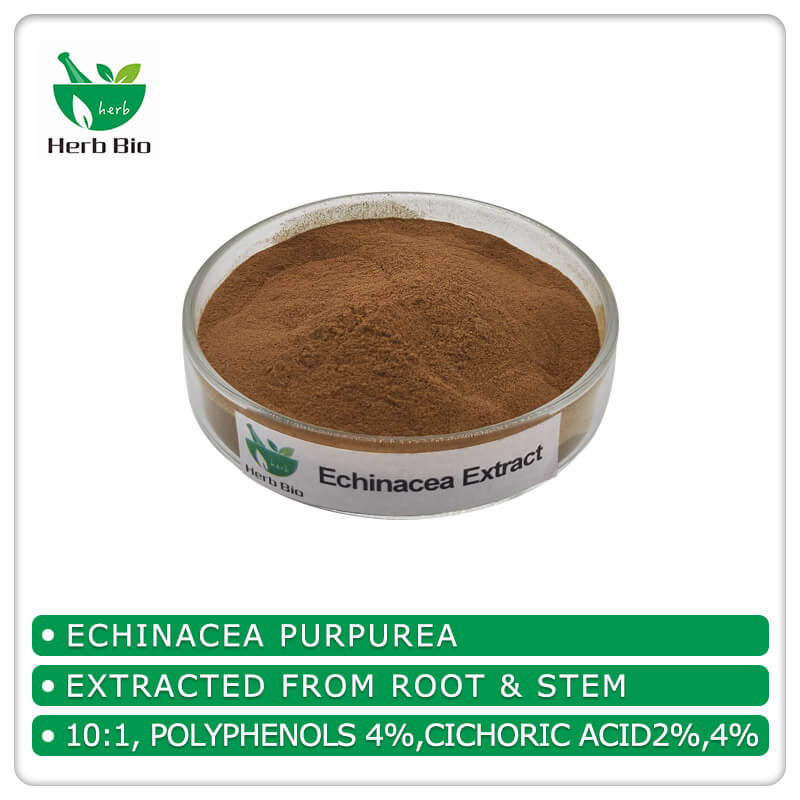 Echinacea Extract supplier Xi'an Herb Bio-Tech Co.Ltd