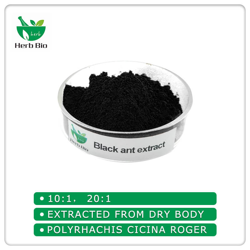 Black ant extract supplier Xi'an Herb Bio-Tech Co.Ltd