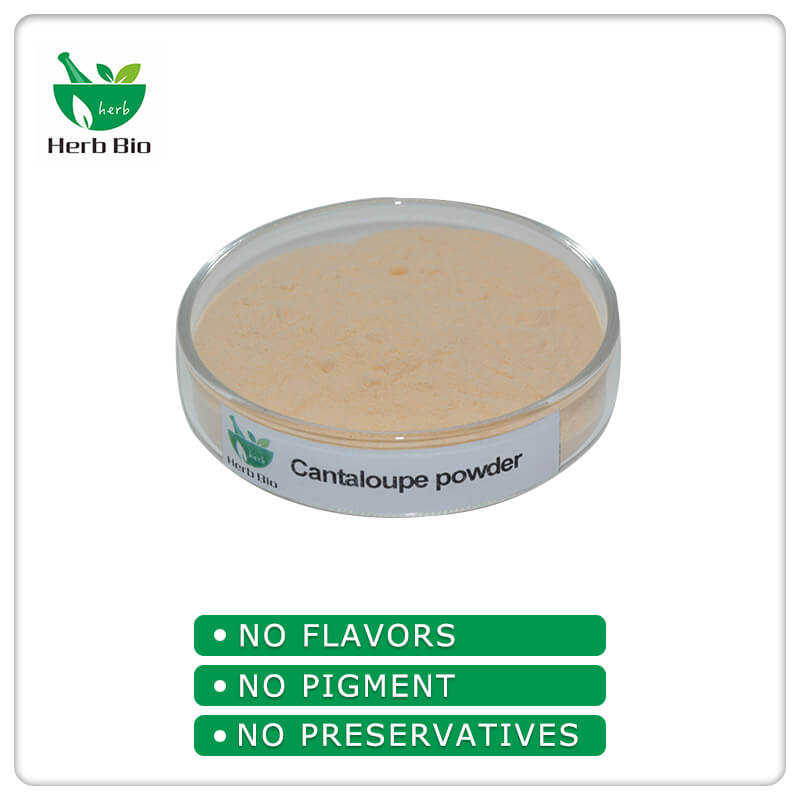 Cantaloupe_melon powder supplier Xi'an Herb Bio-Tech Co.Ltd