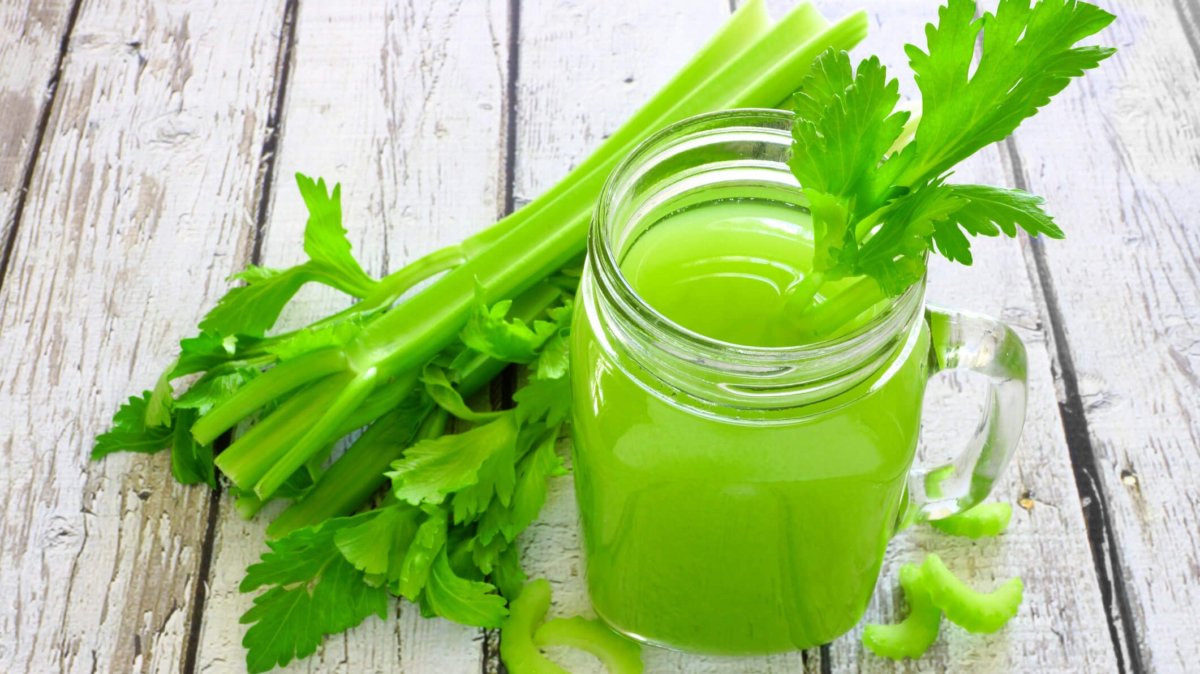 Wholesale best Celery powder Chinese suppliers Xi´an Herb Bio