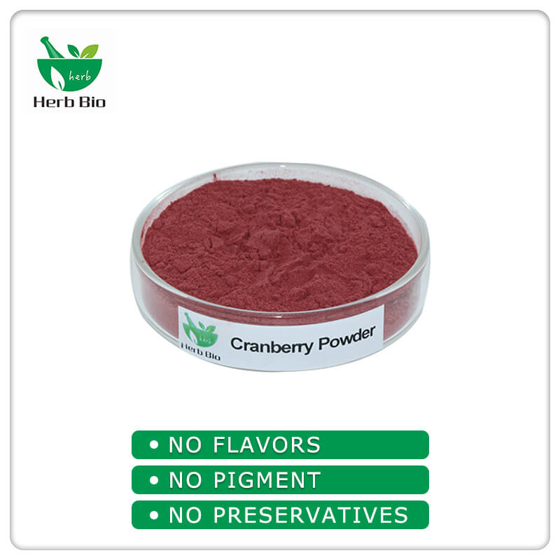 Cranberry Powder wholesale