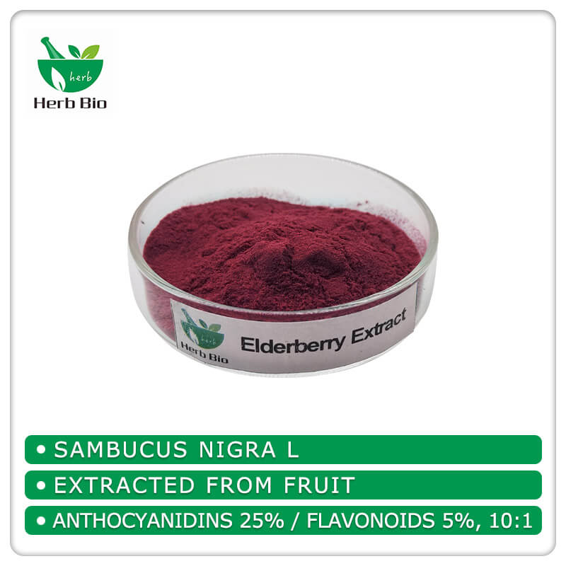 Elderberry Anthocyanidins supplier Xi'an Herb Bio-Tech Co.Ltd