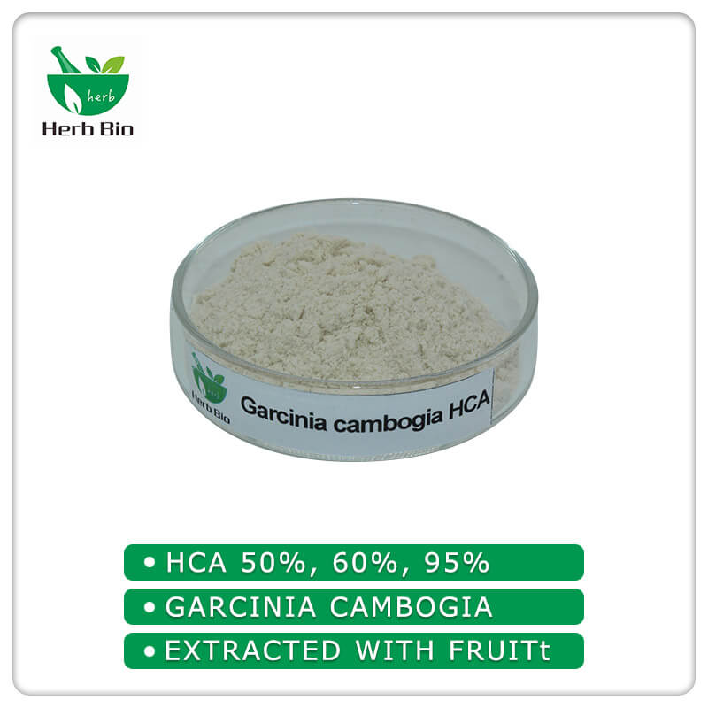 Garcinia cambogia HCA supplier -Xi'an Herb Bio-Tech Co.Ltd