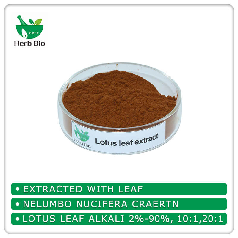 Lotus leaf extract supplier