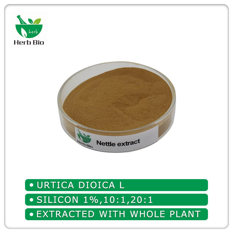 Nettle extract supplier