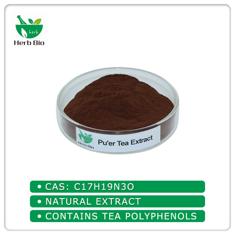 Pu'er Tea Extract wholesale