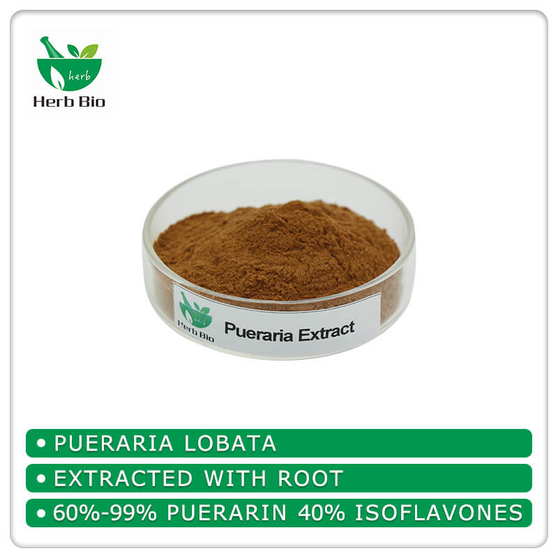 Pueraria Extract supplier