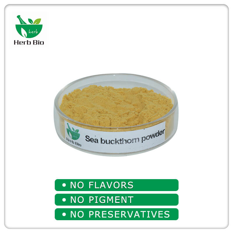 Sea buckthom powder wholesale