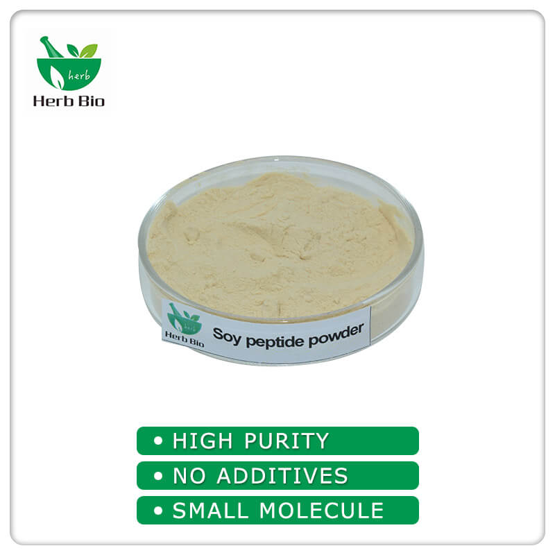 Soy peptide powder wholesale