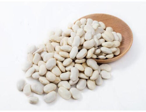 Can white kidney beans really help you lose weight?