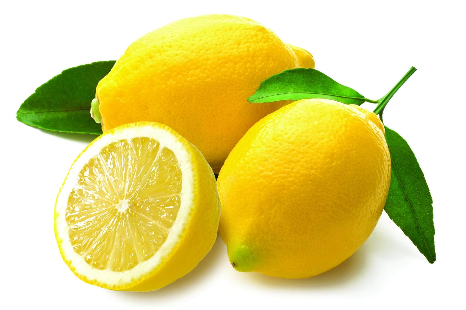 lemon powder wholesale