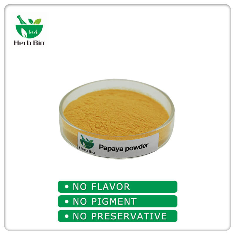 Papaya Powder wholesale
