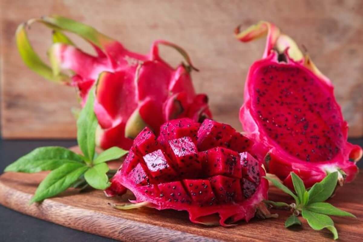 pitaya dragon fruit powder wholesale