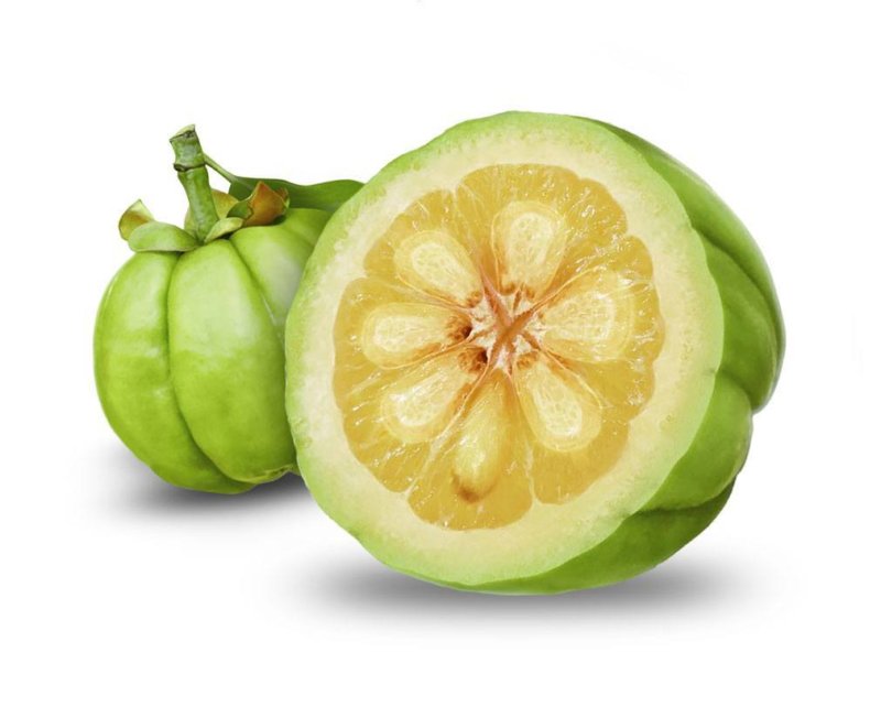 Garcinia cambogia Extract HCA - Herb bio (Herbal Extract Supplier )