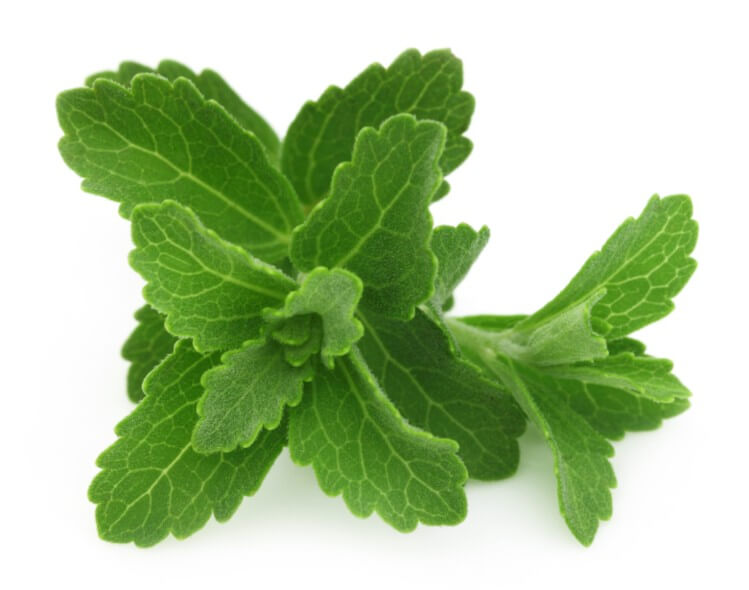 stevia extract supplier _ Xi'an Herb Bio-Tech Co.Ltd