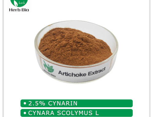 Artichoke Extract