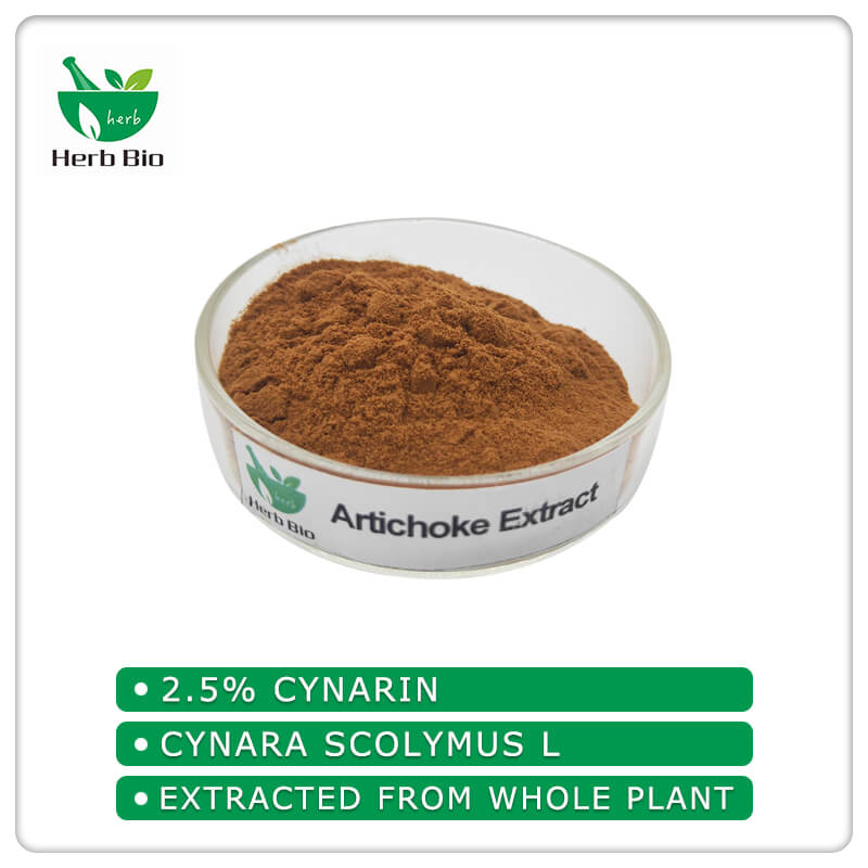 Artichoke Extract_Xi'an Herb Bio-Tech Co.Ltd