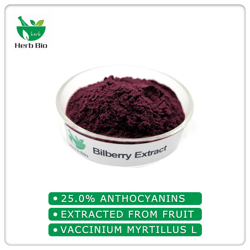 Bilberry extract anthocyanin ——Xi'an Herb Bio-Tech Co.Ltd