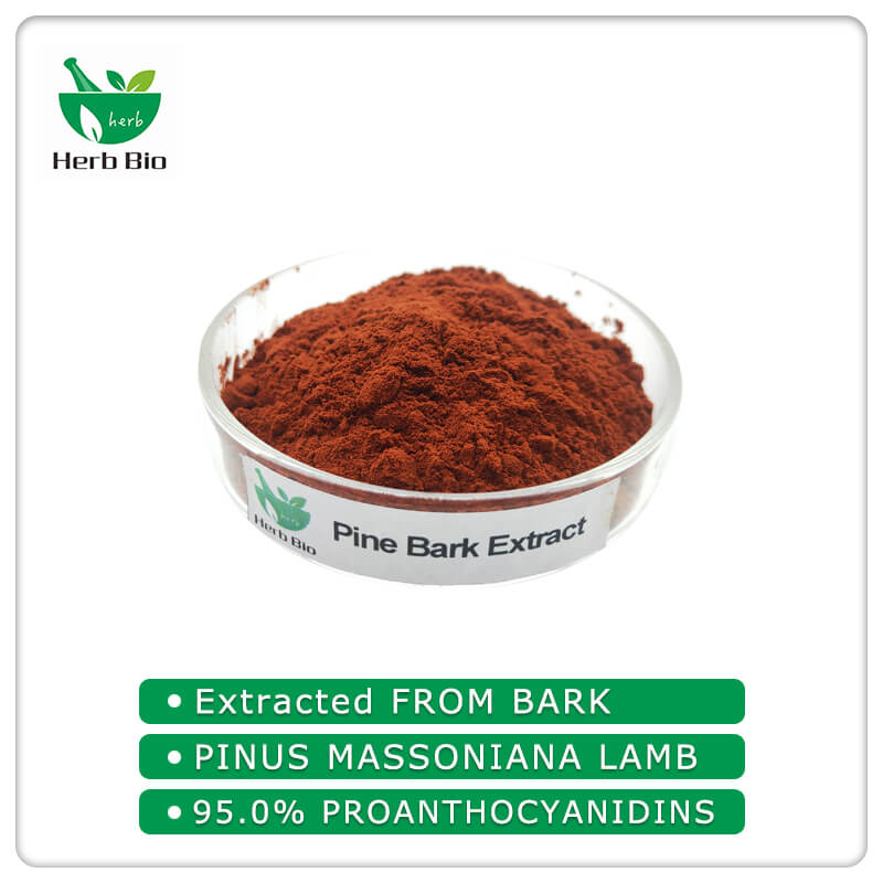 Pine Bark extract