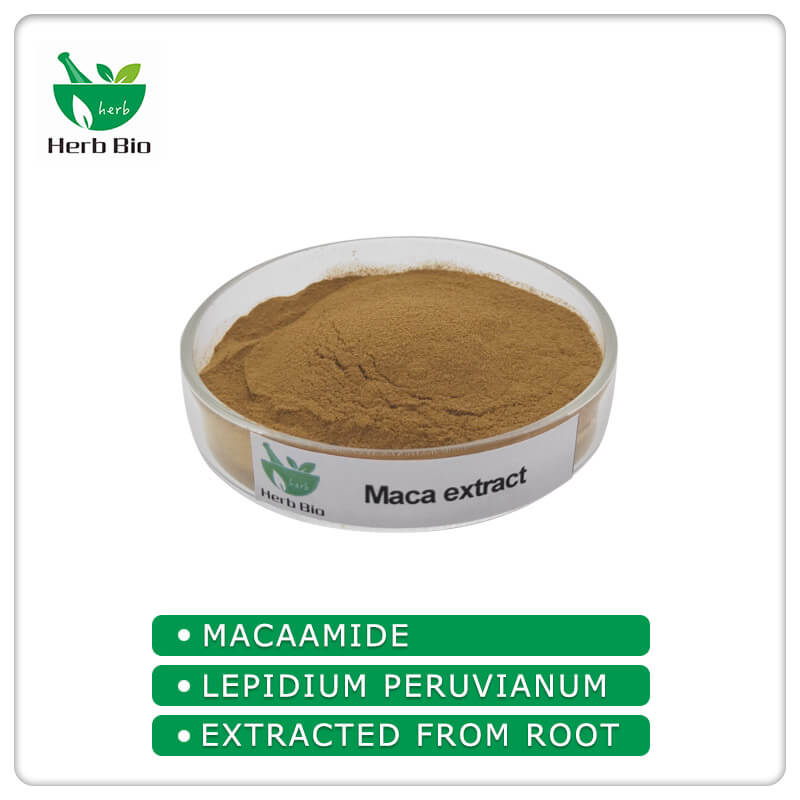 Maca extract