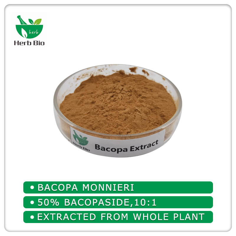 Bacopa Extract