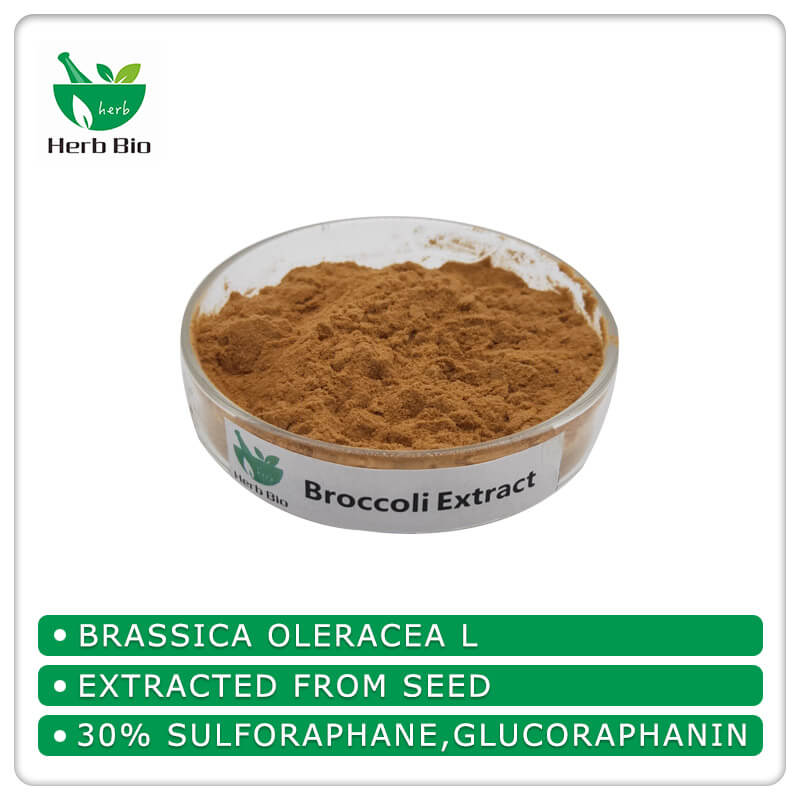 Broccoli Extract