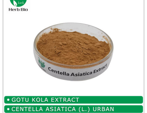 Centella Asiatica Extract