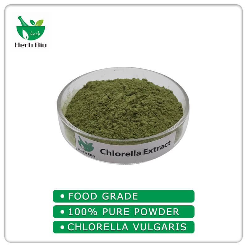 Chlorella Extract