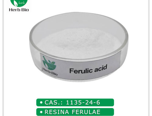 Ferulic Acid