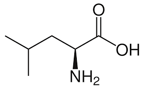 L-leucine