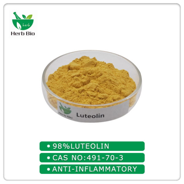 Luteolin Herb bio (Herbal Extract Supplier )
