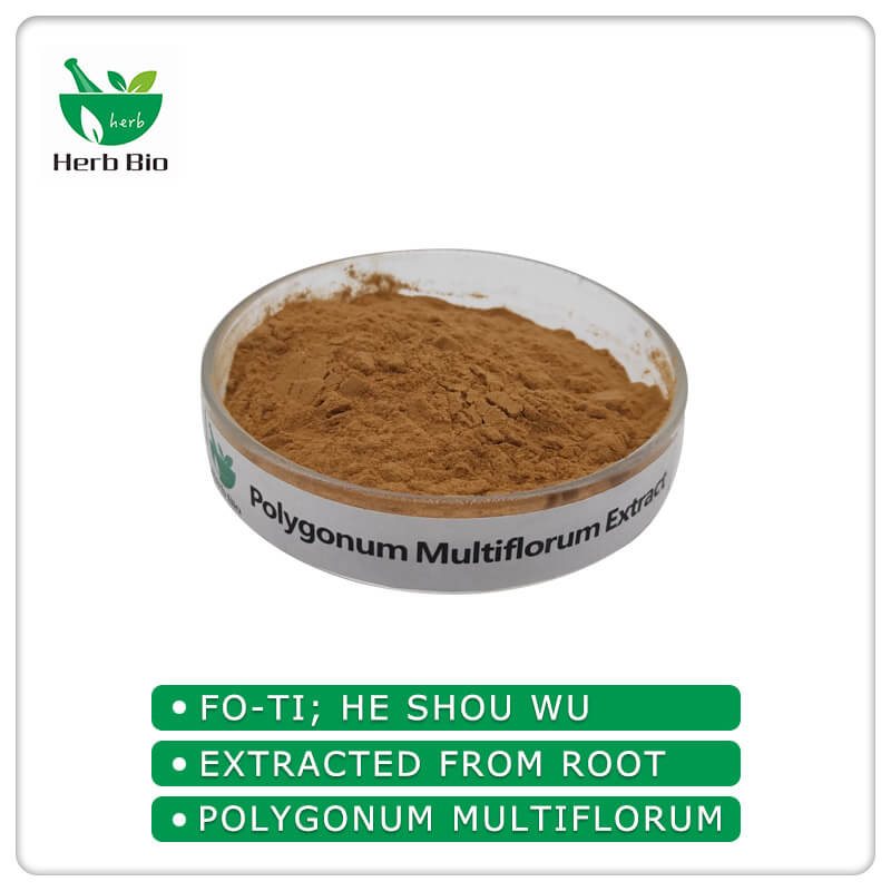 Polygonum Multiflorum Extract