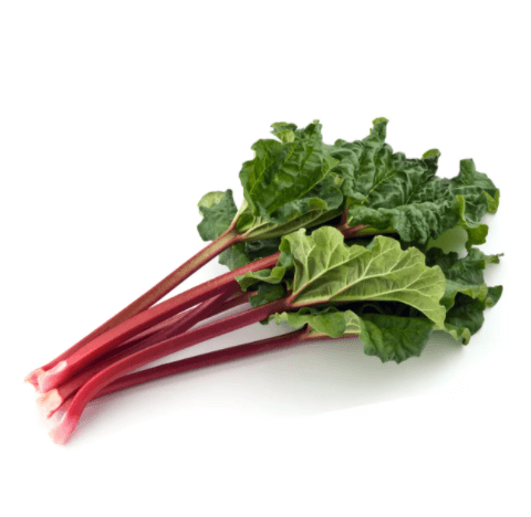 Rhubarb Extract