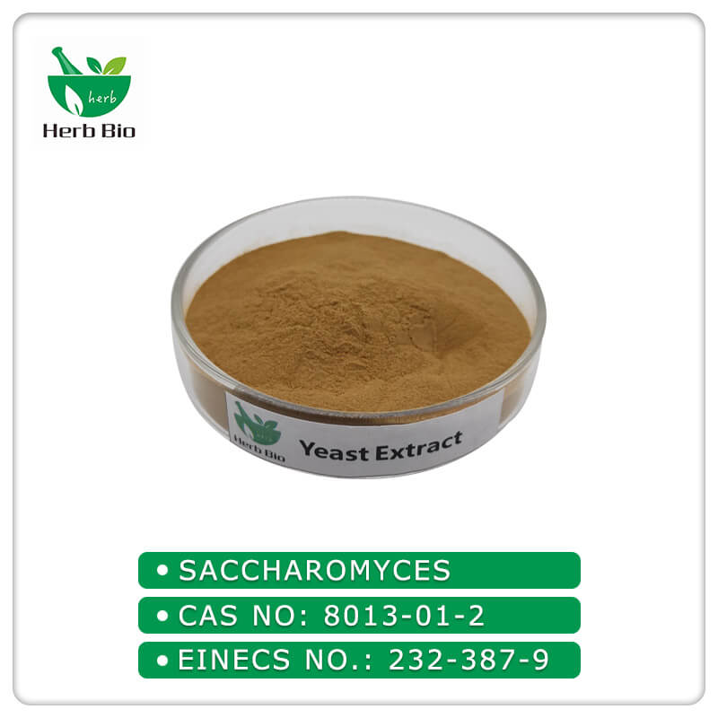 Yeast Extract supplier
