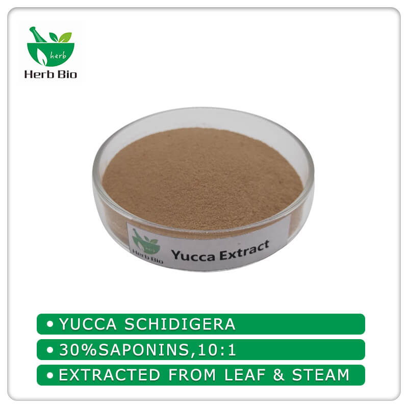 Yucca Extract