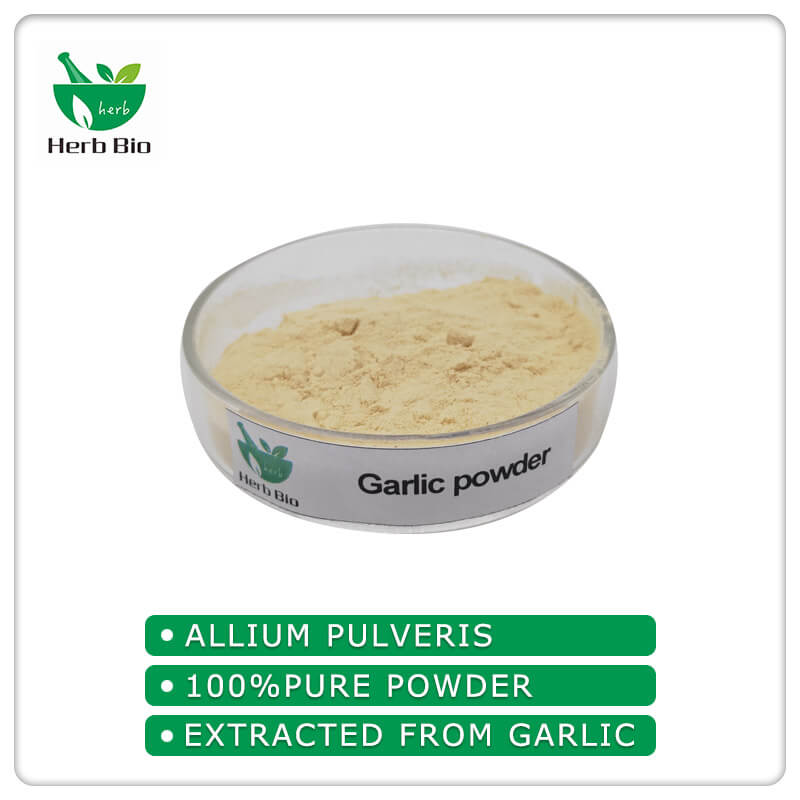 Garlic powder