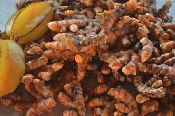 turmeric fresh root