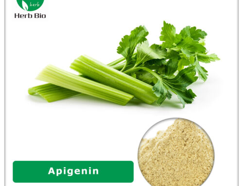 Apigenin