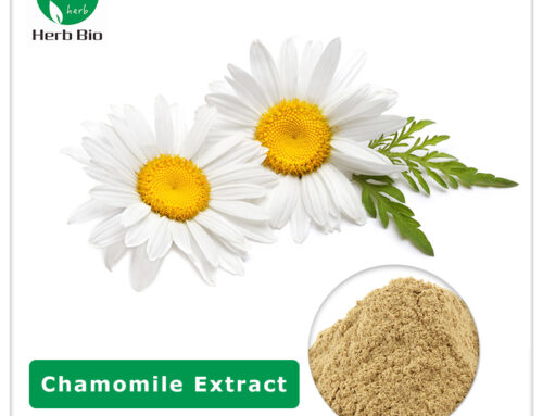 Chamomile Extract