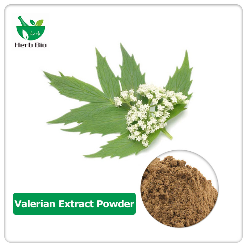 Valerian Extract Powder