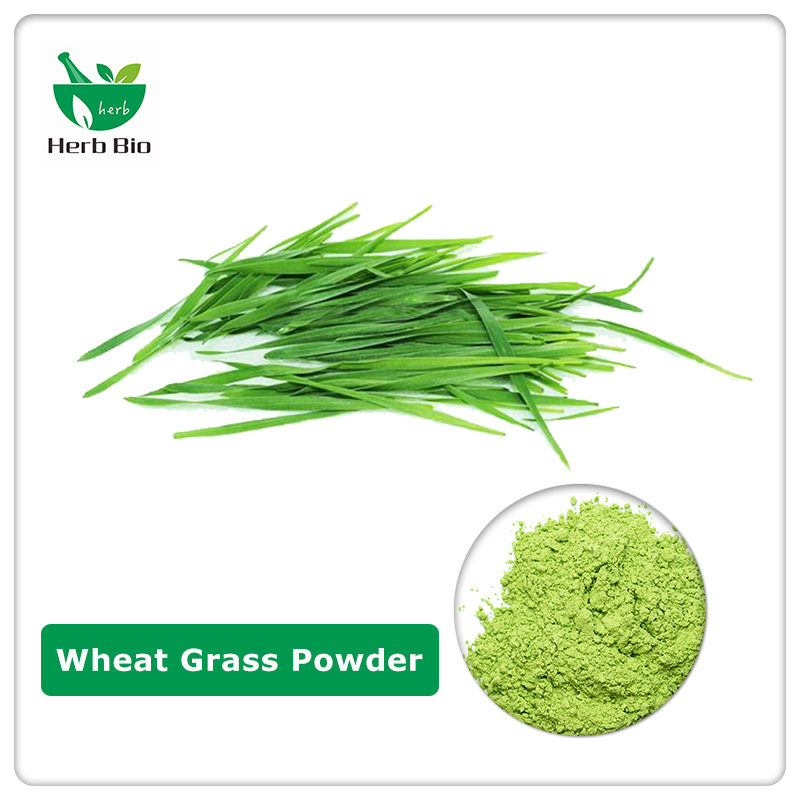 Wheat Grass Powder