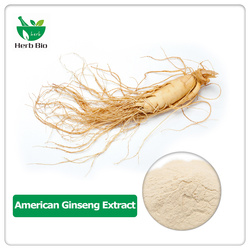 American Ginseng Extract