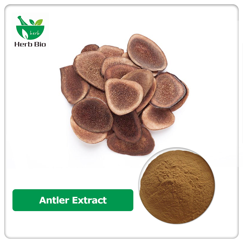 Antler Extract