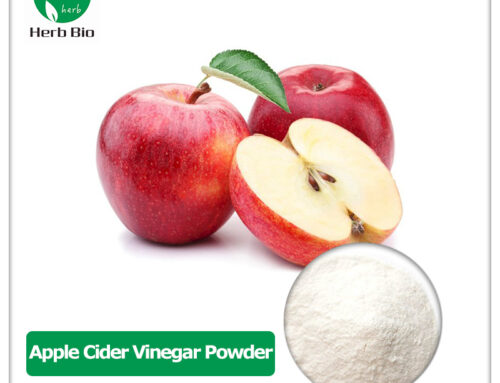 Apple Cider Vinegar Powder