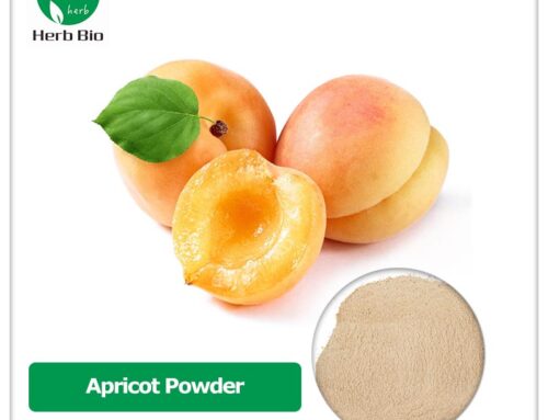 Apricot Powder