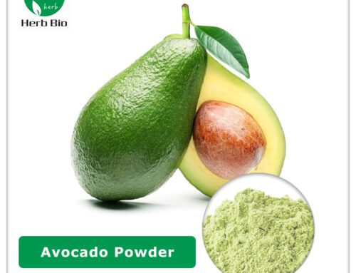 Avocado Powder